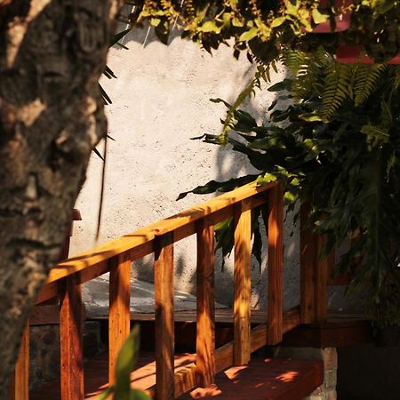 Casa Rustica Villa Atlixco Ngoại thất bức ảnh