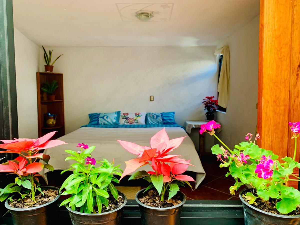 Casa Rustica Villa Atlixco Ngoại thất bức ảnh